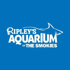 ripleysaquarium