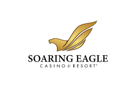 soaring eagle